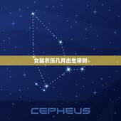 女鼠农历几月出生带财，2022 属鼠几月更好