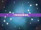 12生肖买马最准的 ，买马 12生肖官
