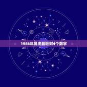 1986年属虎最旺财4个数字，属虎人的旺财植物