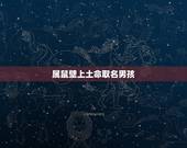 属鼠壁上土命取名男孩，2021壁上土命取名带什么？