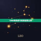 1986年的虎今年财运怎么样 1986年属虎人运程