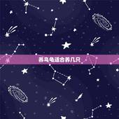 养乌龟适合养几只，养乌龟做好养几只？