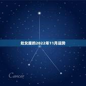 处女座的2022年11月运势，处女座进如11月运气怎么样