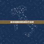 属羊和属蛇做生意合不合财，1979年羊人42岁后命运财运