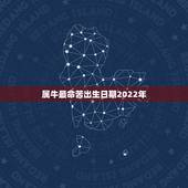 属牛最命苦出生日期2022年，属牛几月出生不好