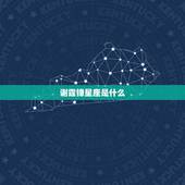 谢霆锋星座是什么，谢霆锋什么星座的