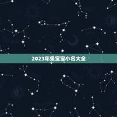 2023年兔宝宝小名大全 2023虎年宝宝洋气小名