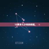 12岁步入少年的祝福，给儿子12岁的生日祝福
