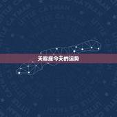 天称座今天的运势，天秤座10月运势2022 年女