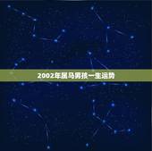 2002年属马男孩一生运势，2002年农历2月初2生人属马一生的学业运