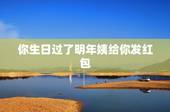 你生日过了明年姨给你发红包，姨姨过生日我给她发红包了，等我过生日她没给
