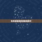 生肖加星座都是最佳配对，生肖 星座 两配对