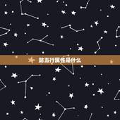 懿五行属性是什么，懿字和轩字分别在五行里代