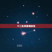 十二生肖属相排名，十二生肖配对姻缘