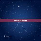庚午年对应生肖，牛年是辛丑年吗