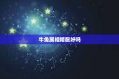 牛兔属相婚配好吗，龙兔属相婚配