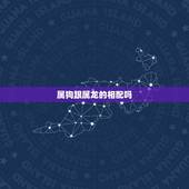 属狗跟属龙的相配吗，属狗的和属龙的相配吗