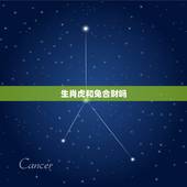 生肖虎和兔合财吗，虎和兔属相是否可以婚配吗