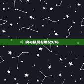 狗与鼠属相婚配好吗，十二生肖鼠与什么生肖不宜婚配