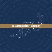 属马的摩羯座和什么属相配，属马的摩羯座女和那个星座相配