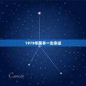 1979年属羊一生命运，1979年属羊人的命运