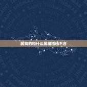 属狗的和什么属相搭档不合，属相是狗的不能和什么属相的在一起