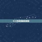 十二月属相最佳婚配，12生肖排序婚配表
