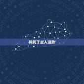 狗死了主人运势，家狗死了会对主人财运差吗
