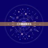 二十将出伴三七，六面威风在三前，二十将出伴三七是什么生肖
