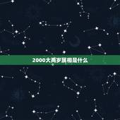 2000大两岁属相是什么，比属兔大二岁生肖是什么