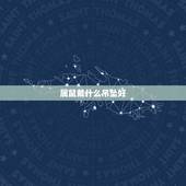 属鼠戴什么吊坠好，属鼠的能带鼠的吊坠吗