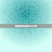 属兔猪年运势2022年，2023年属兔人的全年运势