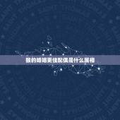 猴的婚姻更佳配偶是什么属相，生肖属猴2022 年全年运势