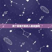 两个属相不配的人能结婚吗，属相不合的两个人结婚就不会有孩子吗？