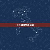 十二明日生肖运势，查询十二生肖运势