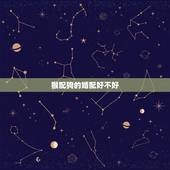 猴配狗的婚配好不好，狗配猴的婚姻好不好