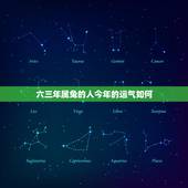 六三年属兔的人今年的运气如何，属兔人今年下半年运气如何？