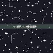 射手2022感情运势，有伴侣的双子座女和情人射手男的情感运势在2023