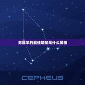 男属羊的最佳婚配是什么属相，属羊男生的婚配属相最好的是什么？