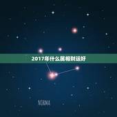 2017年什么属相财运好，2017年生肖运势大全