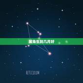属兔生到几月好，属兔几点出生更好女孩