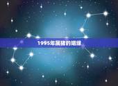 1995年属猪的姻缘，95属猪哪一年结婚更好