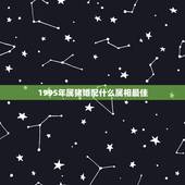 1995年属猪婚配什么属相最佳，1995年农历10月初九女生配什么属相