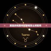 属鼠的和属羊的婚姻怎么样配吗，属狗人的一生之敌