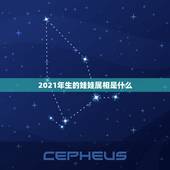 2021年生的娃娃属相是什么，预产期在2021年1月份，孩子属相是什么