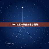 1997年属牛取什么名字更好，1997年属牛男是什么命