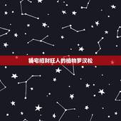 镇宅招财旺人的植物罗汉松，庭院种罗汉松有什么禁忌？