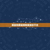 属鼠和属鼠婚配属相合不合，属鼠最佳婚配属相