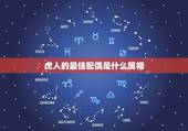 虎人的最佳配偶是什么属相，属虎的最佳配对属相是什么？
