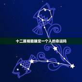 十二属相能确定一个人的命运吗，属相决定命运，是真的吗